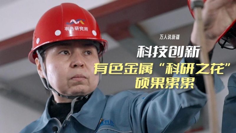 企业搜索安全配置：如何构建高效且安全的搜索解决方案**